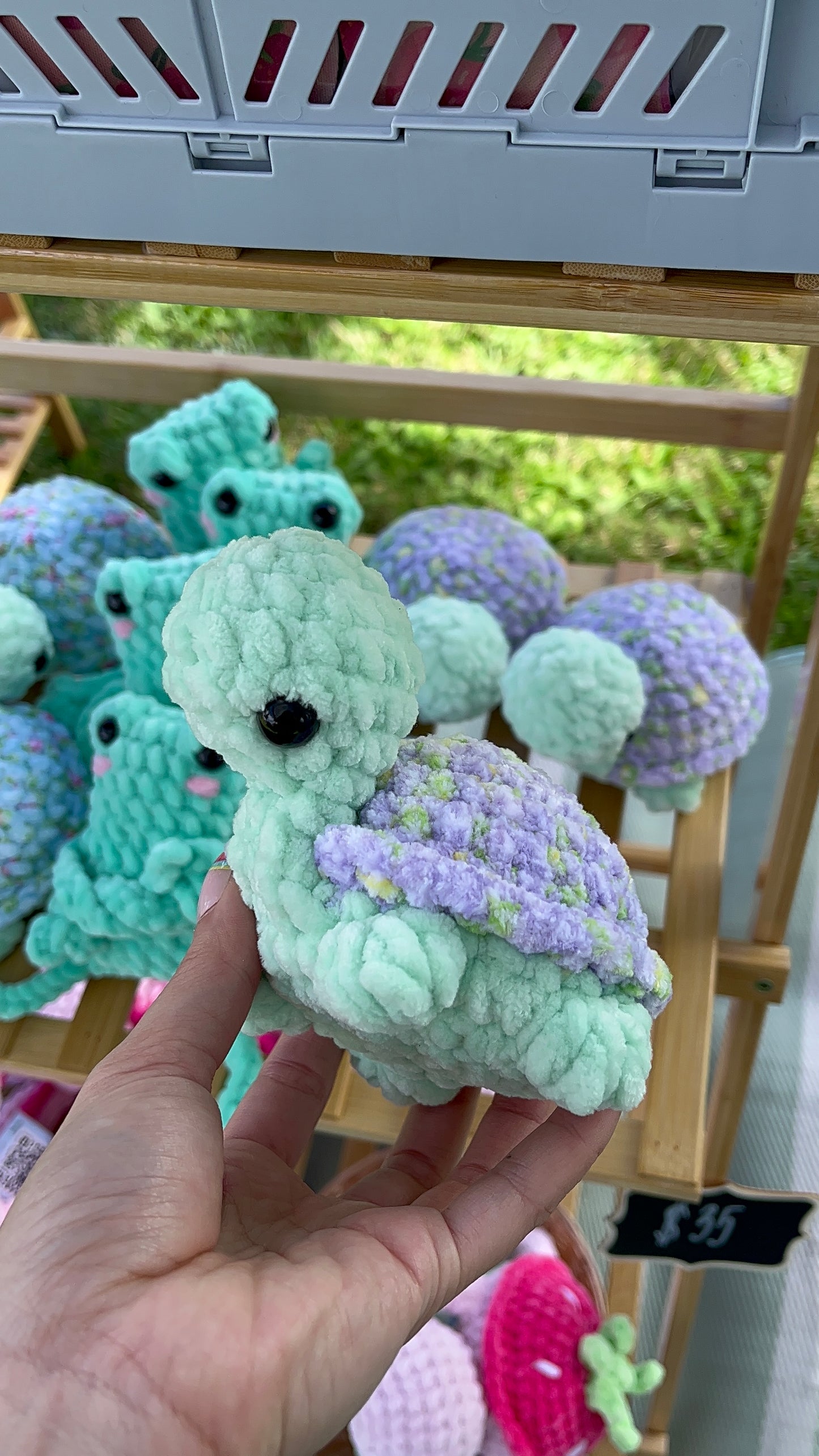 Tofu Turtle