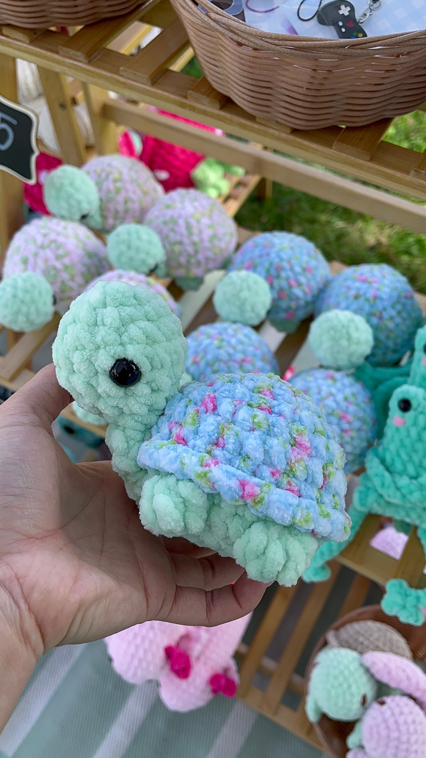 Tofu Turtle