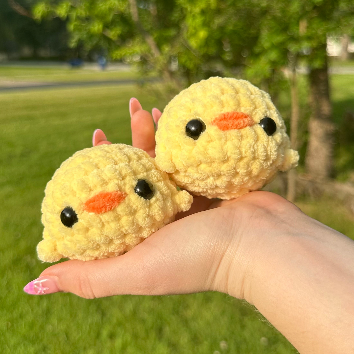 Baby Chicken