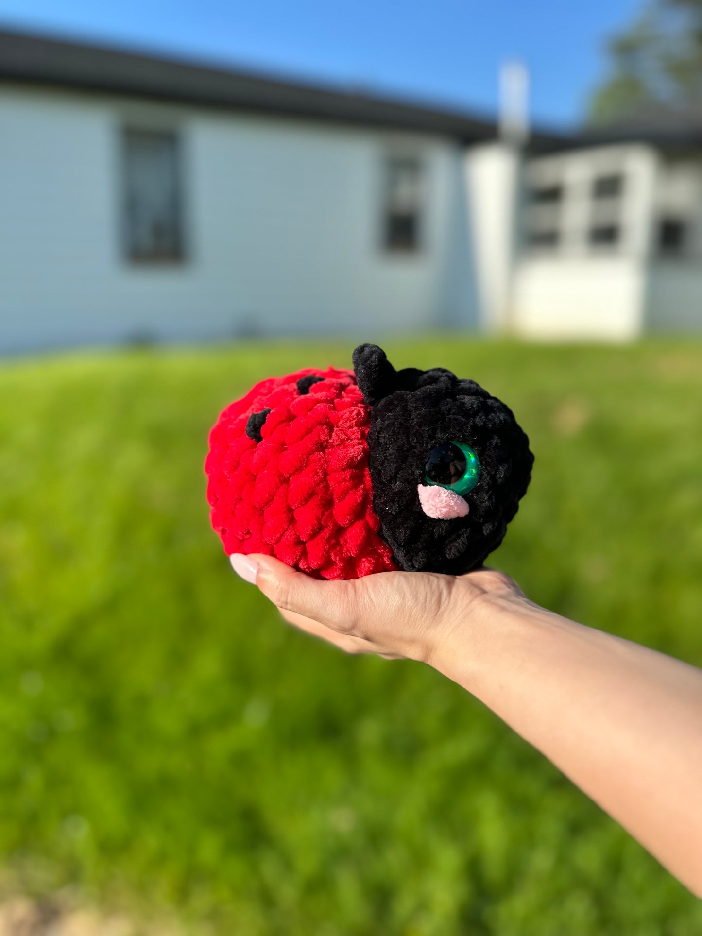 Jumbo Lady Bug