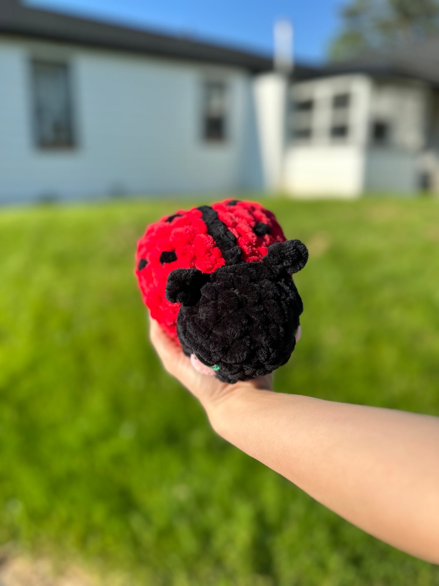 Jumbo Lady Bug