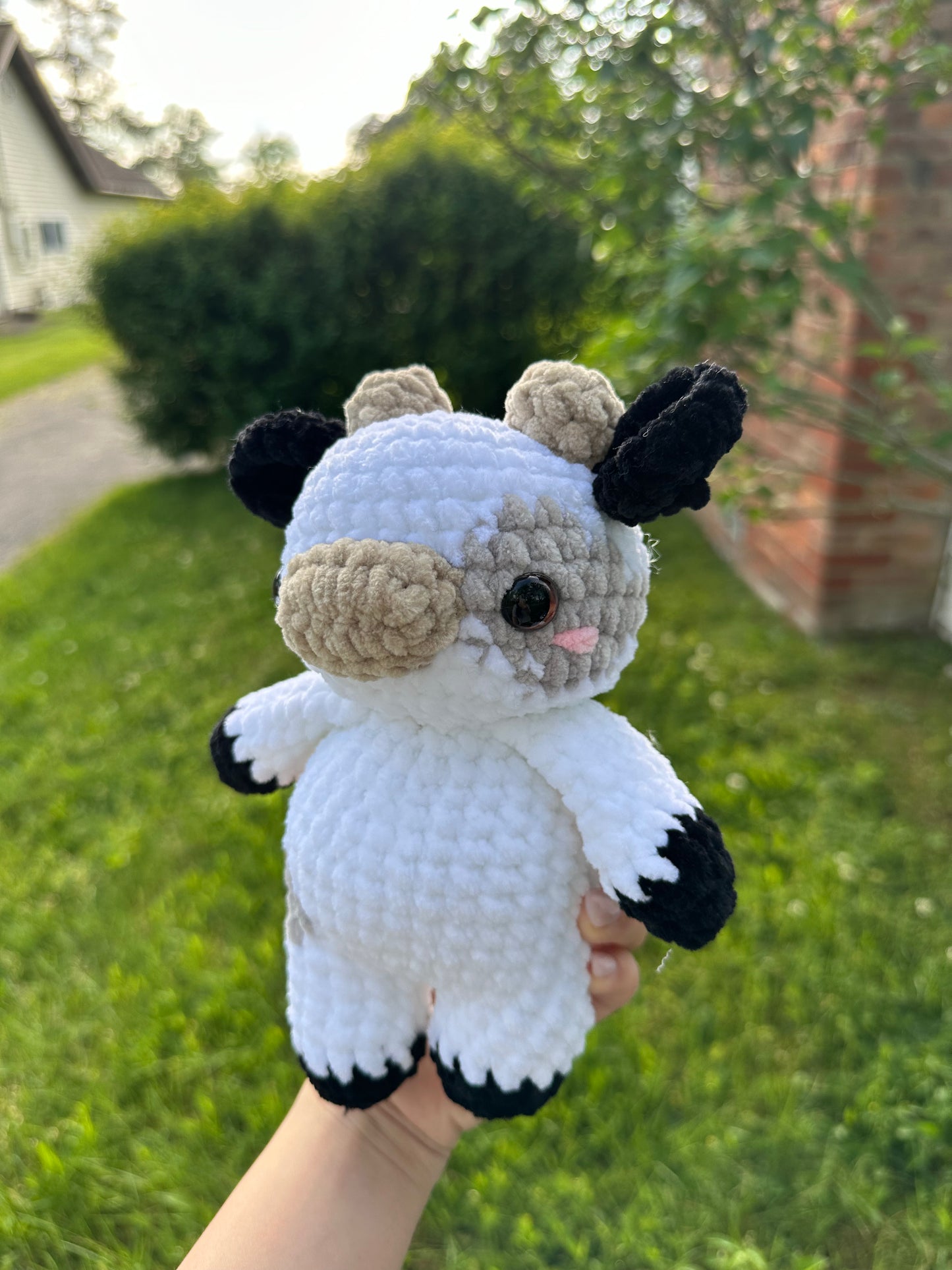 Baby Cow