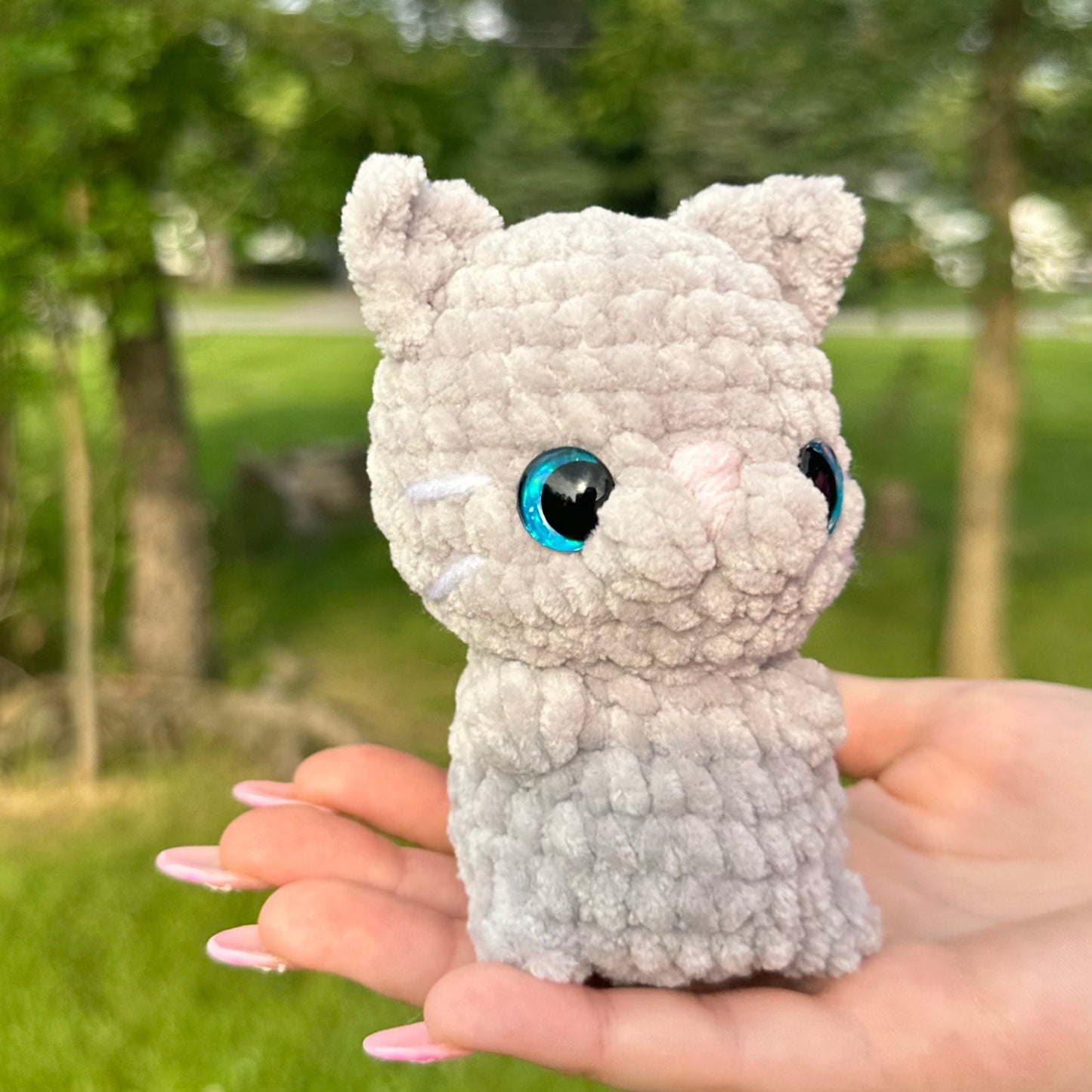 Gray Cat