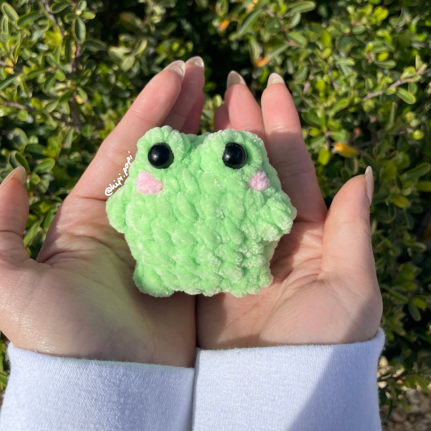 Pocket Frog