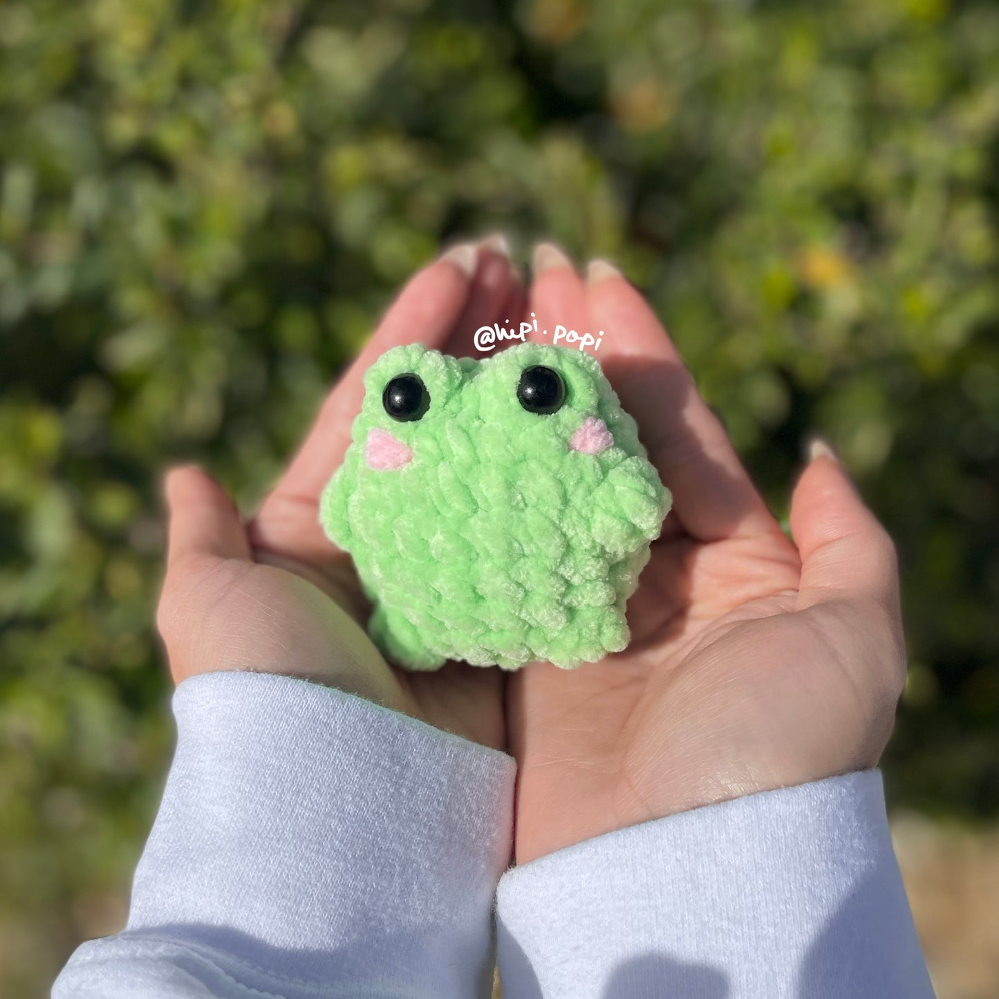 Pocket Frog