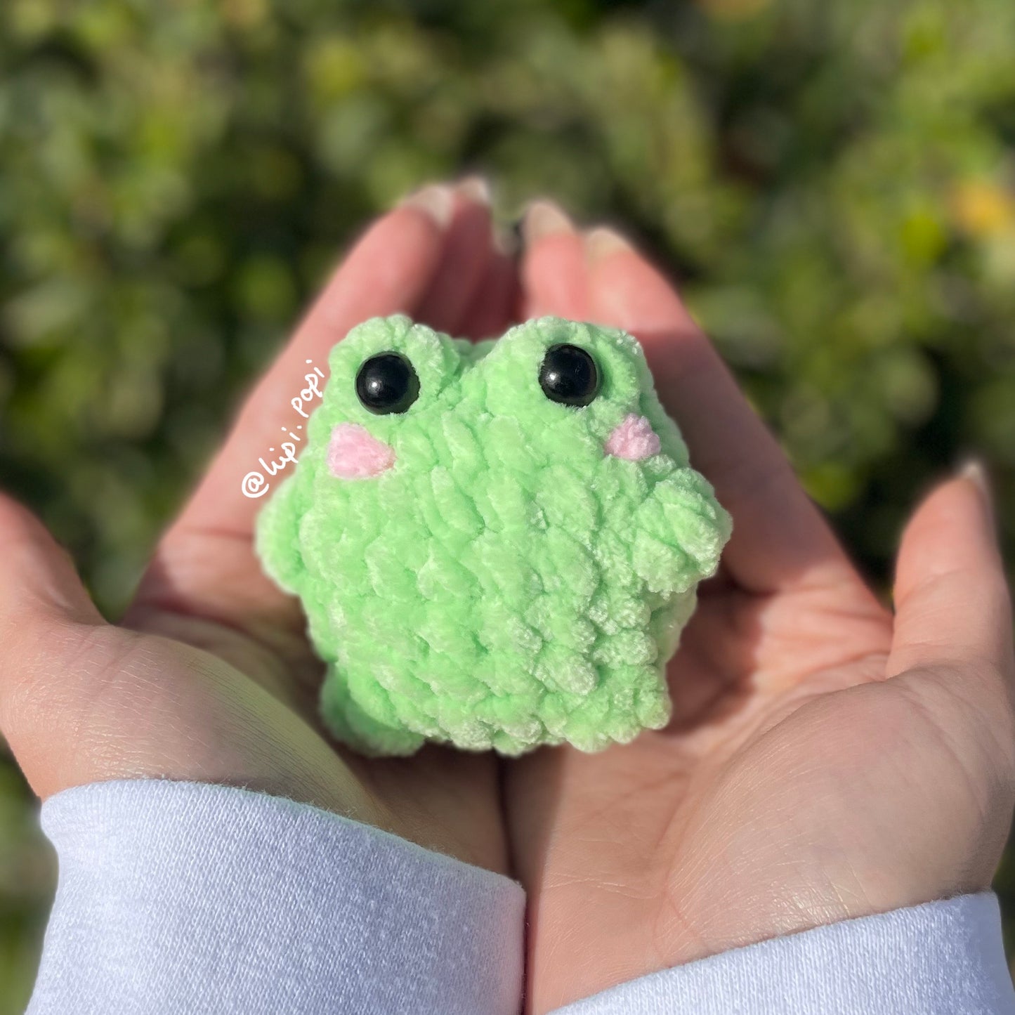 Pocket Frog