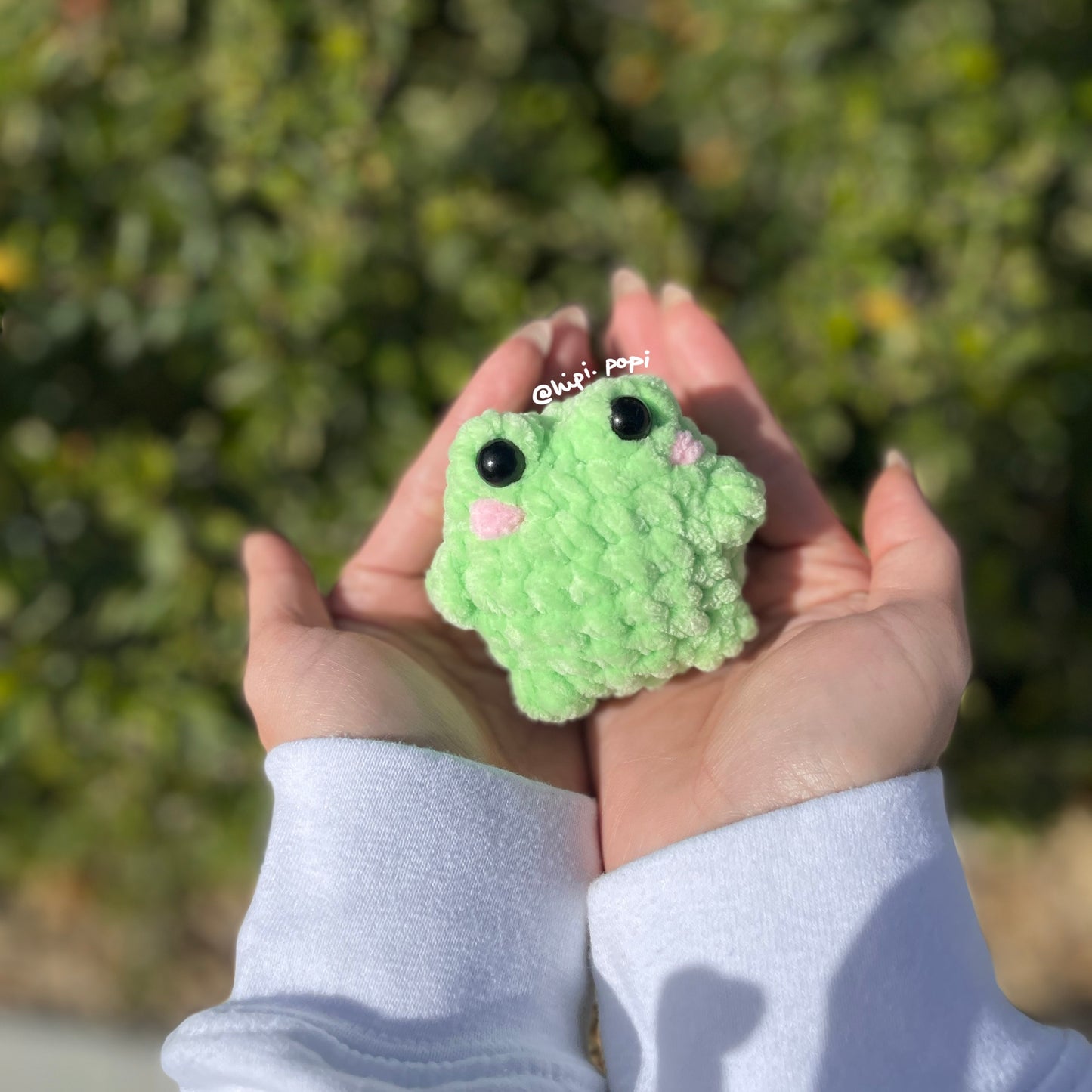 Pocket Frog