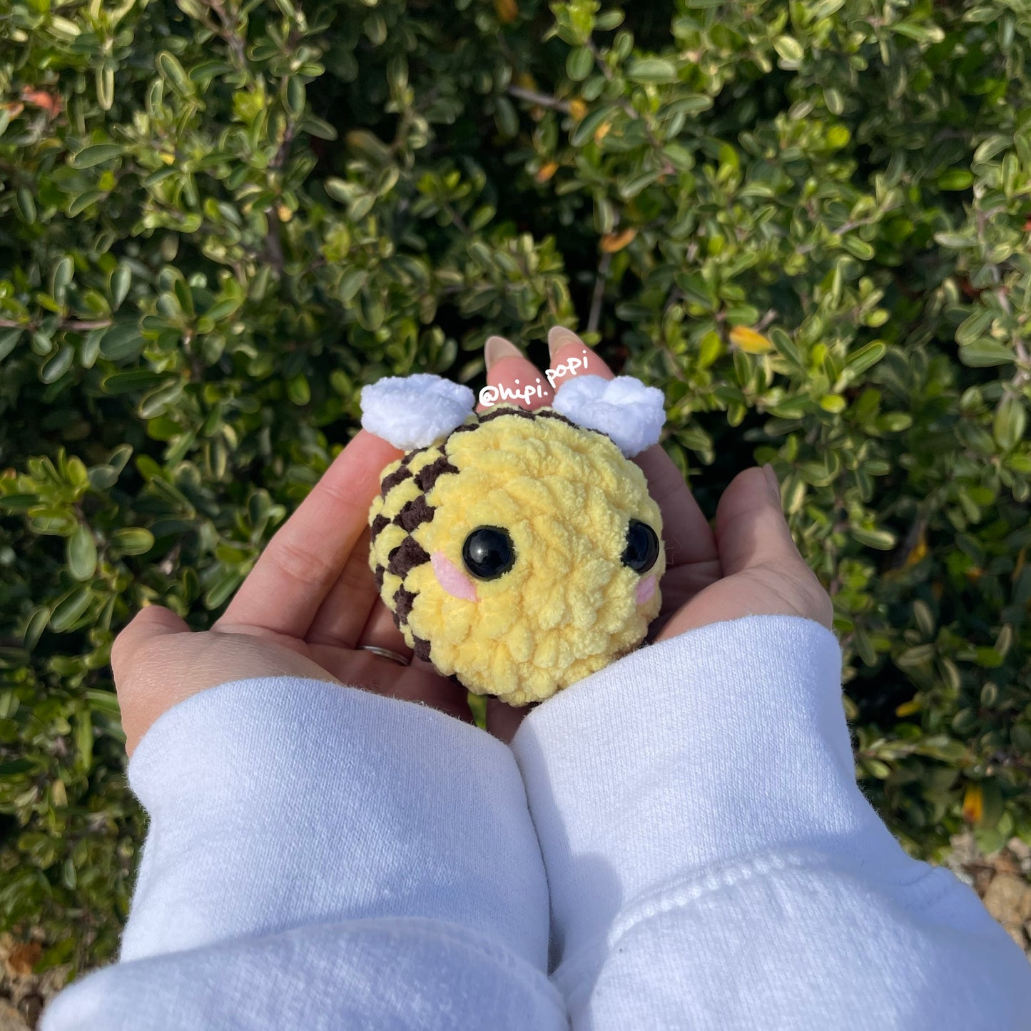 Pocket Bee