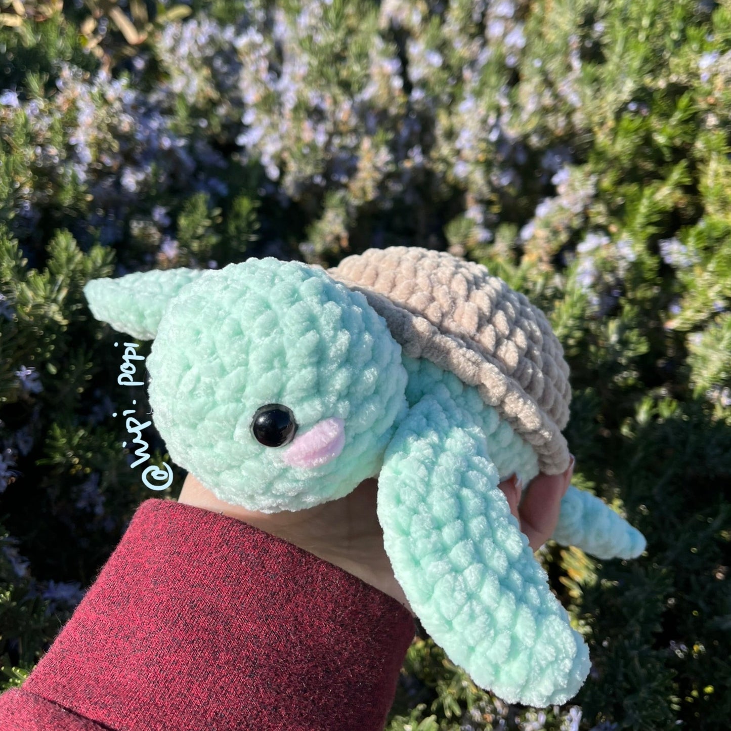 Turtle