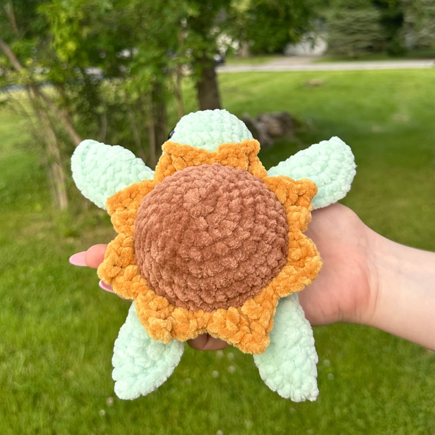 Sunflower Turtle