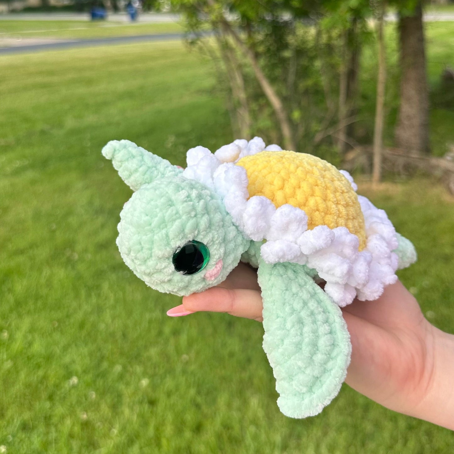 Daisy Turtle